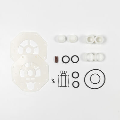 Αντλία διαφράγματος PTFE από υλικό PP με μέγιστη πίεση 100psi για μεταφορά διαλύματος ουρίας