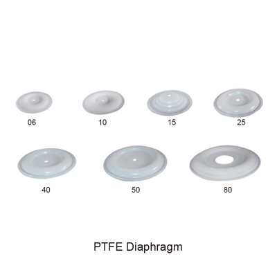 Ο αέρας διαφραγμάτων PTFE ενεργοποίησε τα διπλά μέρη αντλιών διαφραγμάτων